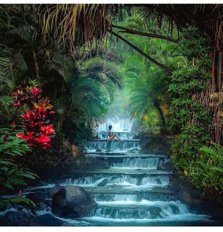 Beautiful Nature image
