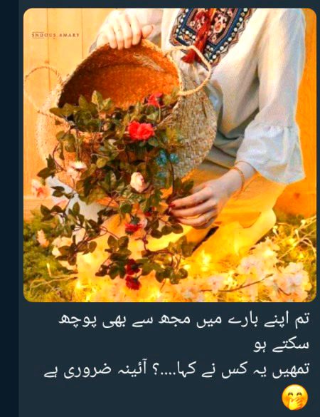 سزا یہ ہے کہ بنجر زمین ہوں اب ظلم یہ ہے کہ با ر شوں سے عشق کیا ۔