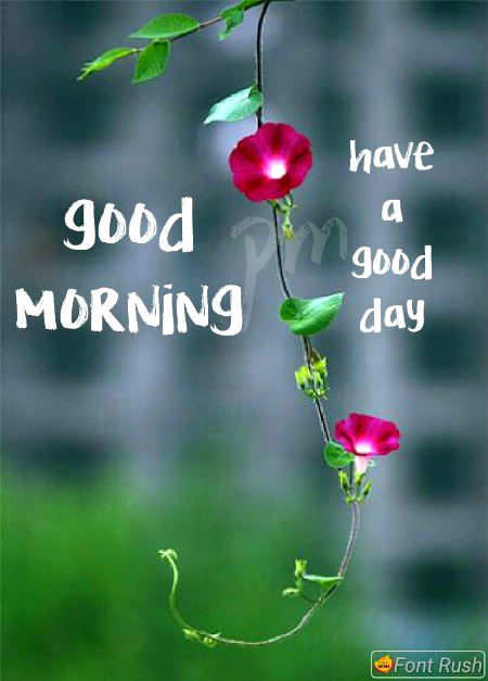 اَلسَلامُ عَلَيْكُم وَرَحْمَةُ اَللهِ وَبَرَكاتُهُ
۔happy morning.