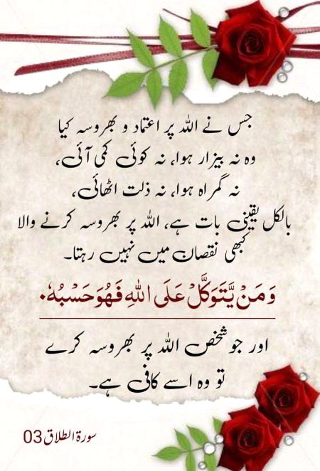 Beshak 🌺🌺