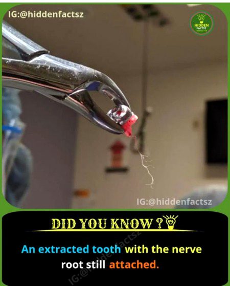 Interesting Posts image