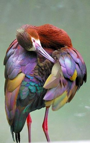 Beautiful Nature image