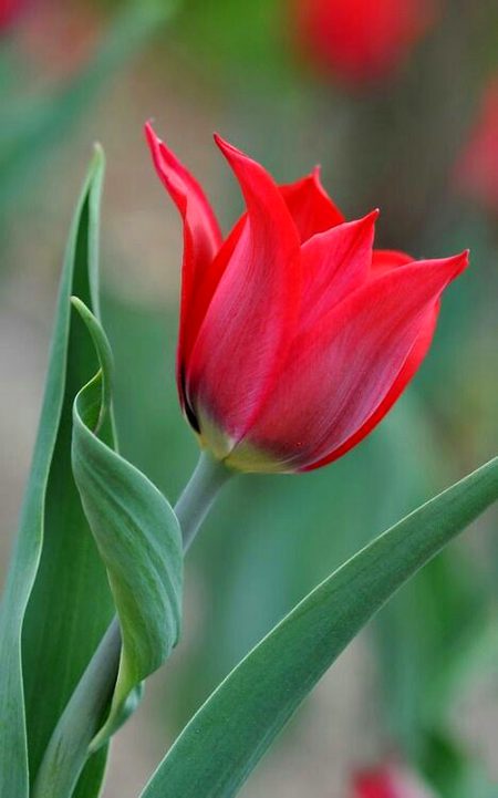 Beautiful Nature image