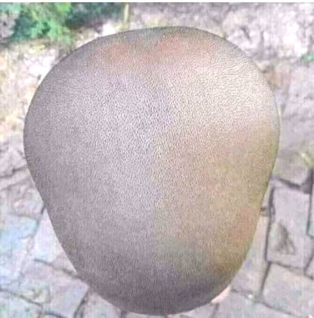 Only girl.eska pal ka name btao