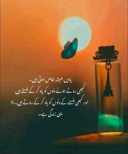 🌹 merijan-16 🌹