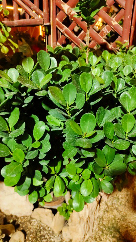 Beautiful Nature image