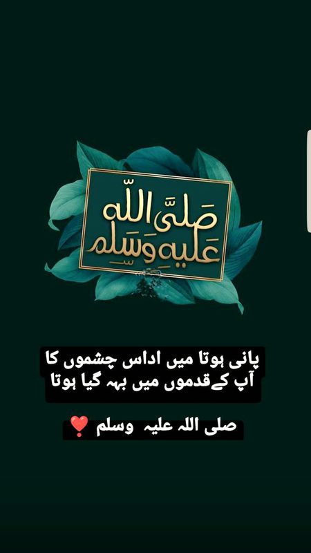 صلی اللہ علیہ والہ وسلم ۔۔
خدا پاک امیر محترم کا سایہ ھم سب پہ سلامت رکھے ۔آمین ۔۔