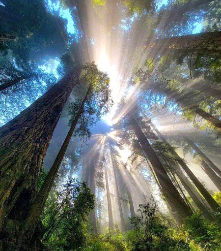 Beautiful Nature image