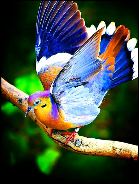 Beautiful Nature image