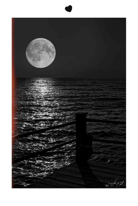 Beautiful Nature image