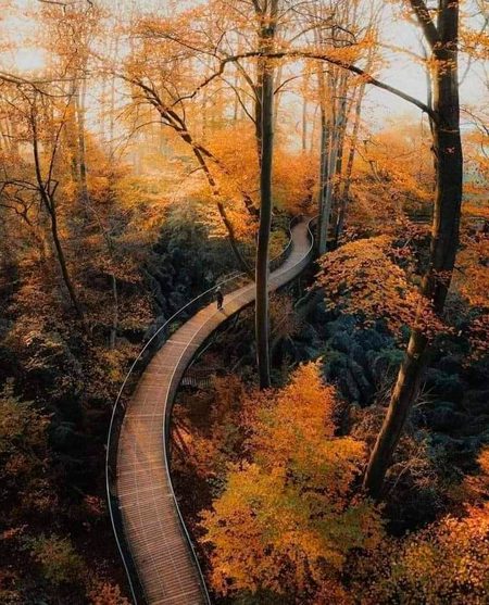 Beautiful Nature image