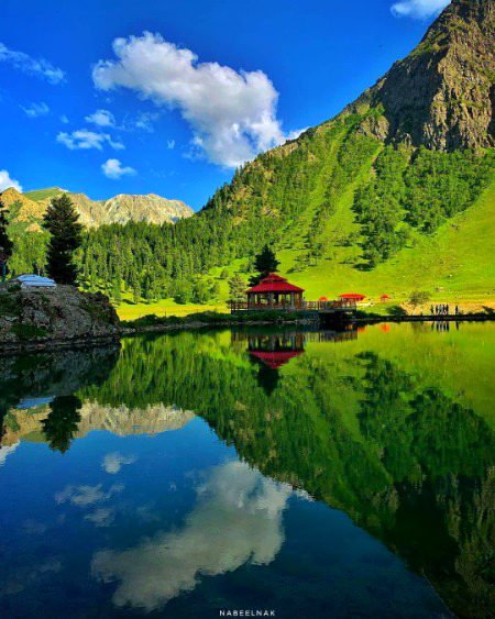 Beautiful Nature image