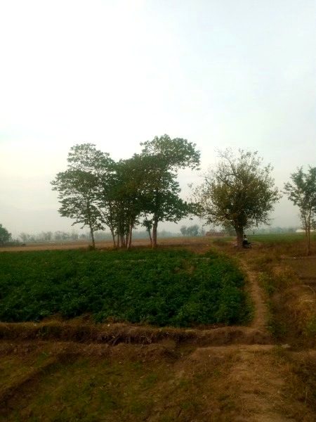 Beautiful Nature image