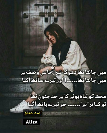 محبت میں برابری نہیں کی جاتی . . . محبوب کو ہمیشہ اپنے سے بہتر مانا جاتا ہے