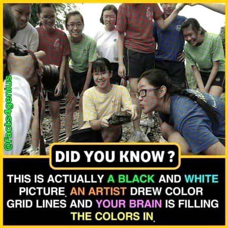 Interesting Posts image