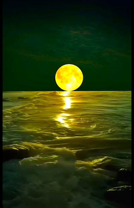 Beautiful Nature image