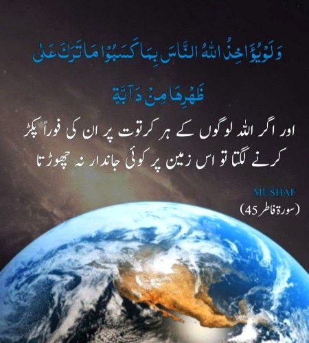 Islamic Quotes image