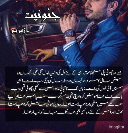 Romantic Novels image