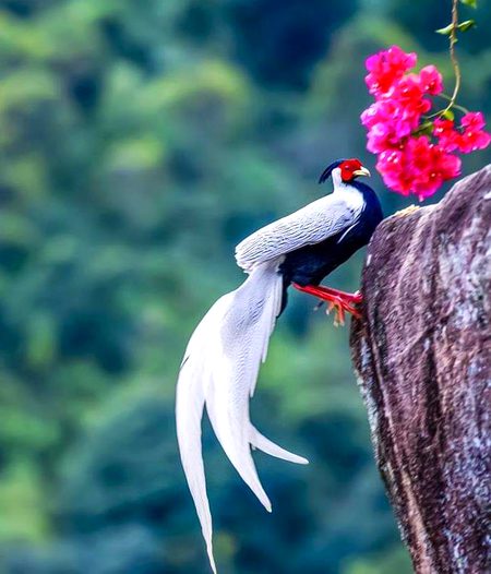 Beautiful Nature image