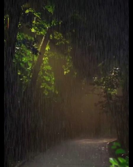 Beautiful Nature image