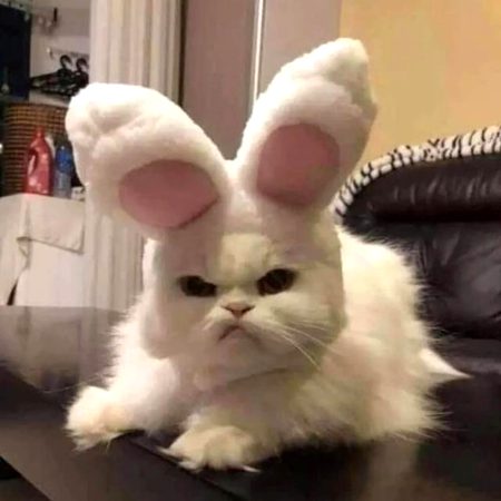 تُم جو اوروں کو بتاتے ہو جینے کا طریقہ ،!!
خود اپنے پہ دیہان کیوں نہیں دیتے
🖤🙄