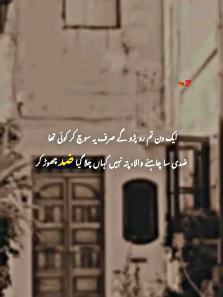 A.Qurban 🪐💫