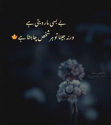 Sad Poetry image