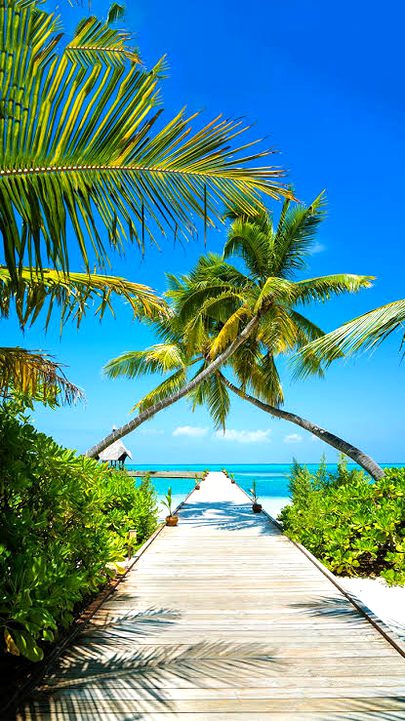 Beautiful Nature image