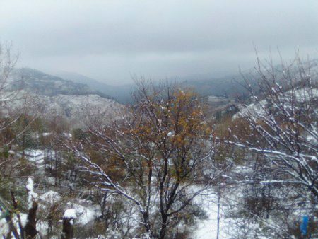Beautiful Nature image