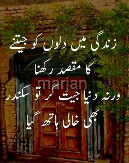 Sach.hay