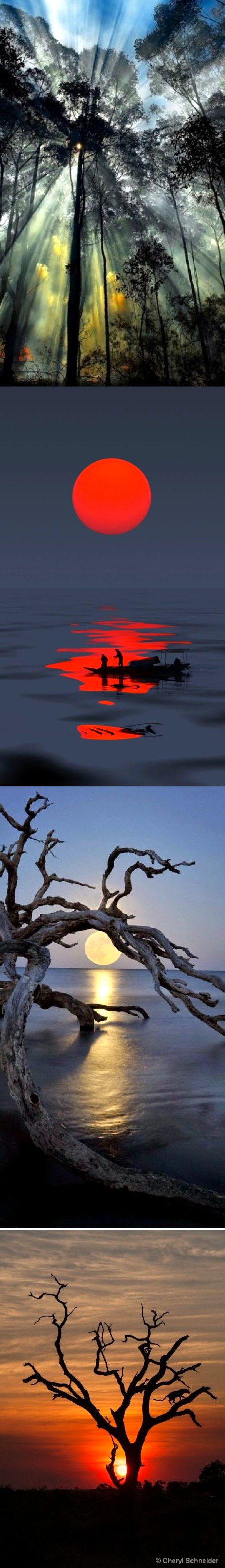 Beautiful Nature image