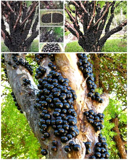 Beautiful Nature image