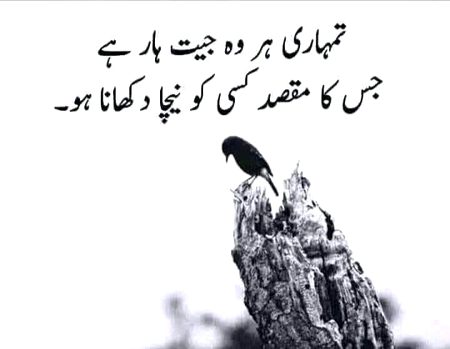 Life Advice image