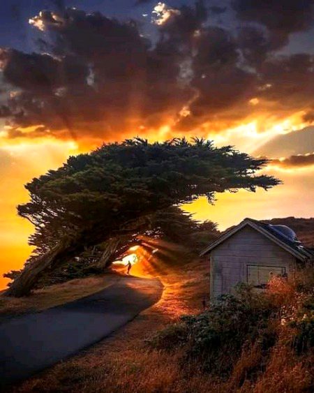 Beautiful Nature image