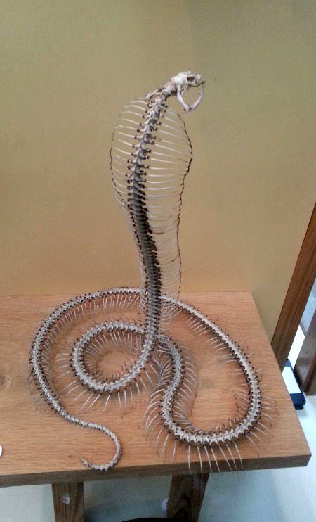 Beautiful Structures image