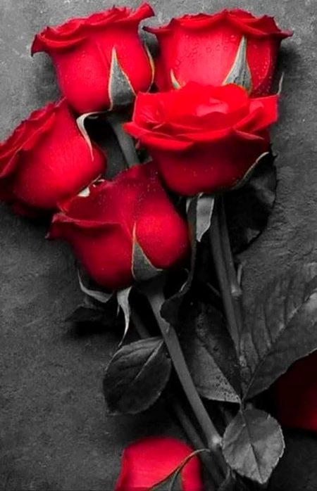 Beautiful Nature image