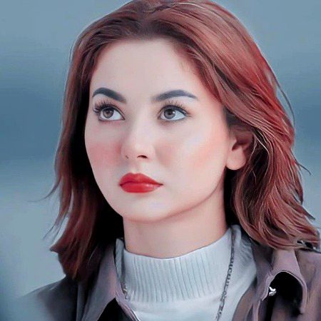 Pakistani Celebs image