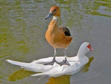 Beautiful Nature image