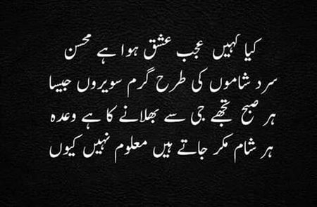 Hy all kysy hn