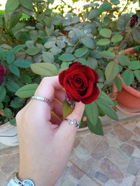 Beautiful Nature image