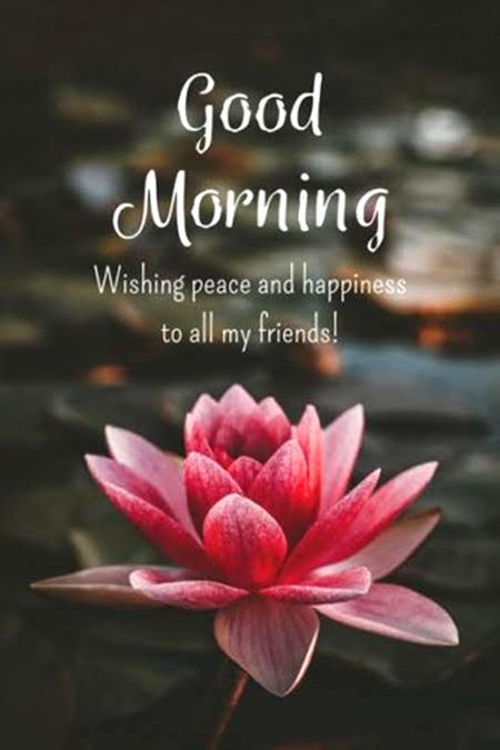 Morning ji