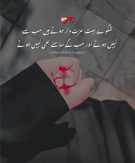 شکوے بہت عزت دار ہوتے ہیں سب سے نہیں ہوتے
اور سب کے سامنے بھی نہیں ہوتے❤️🩹
