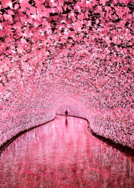 Beautiful Nature image
