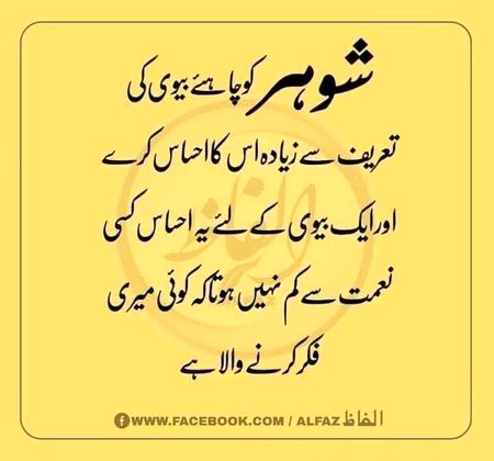 شوہر کو چاہئیے...!