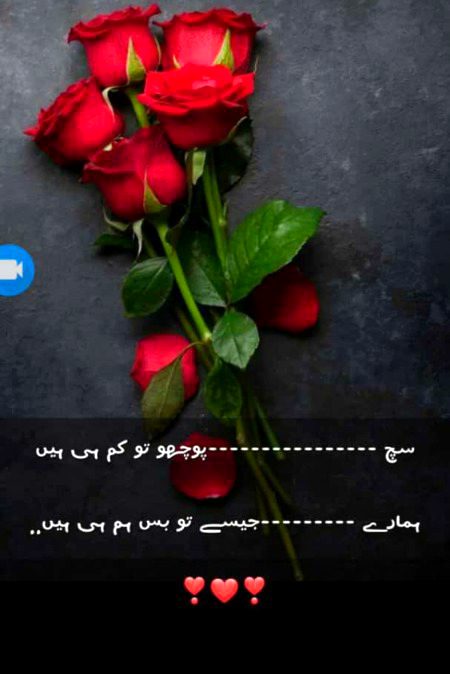 All fn kzy hy