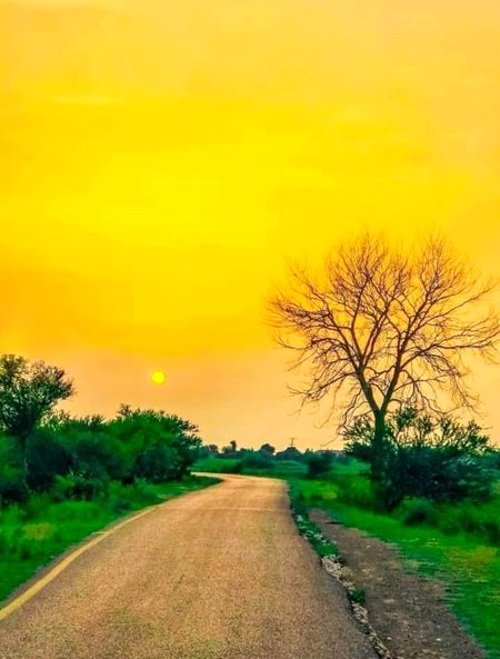 Beautiful Nature image