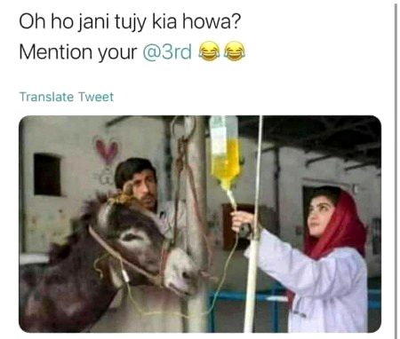 Memes & Satire image