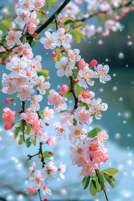 Beautiful Nature image
