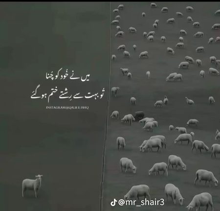 👍;;";"":;";;"