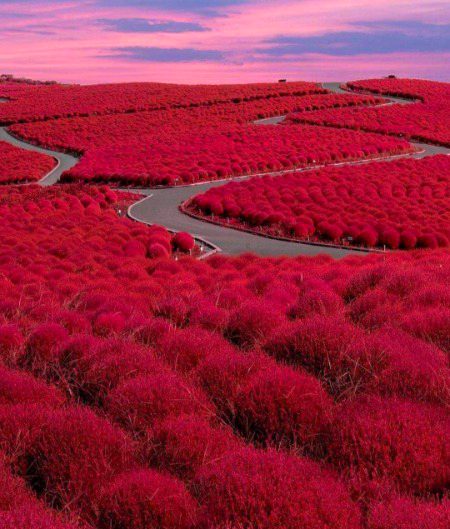 Beautiful Nature image